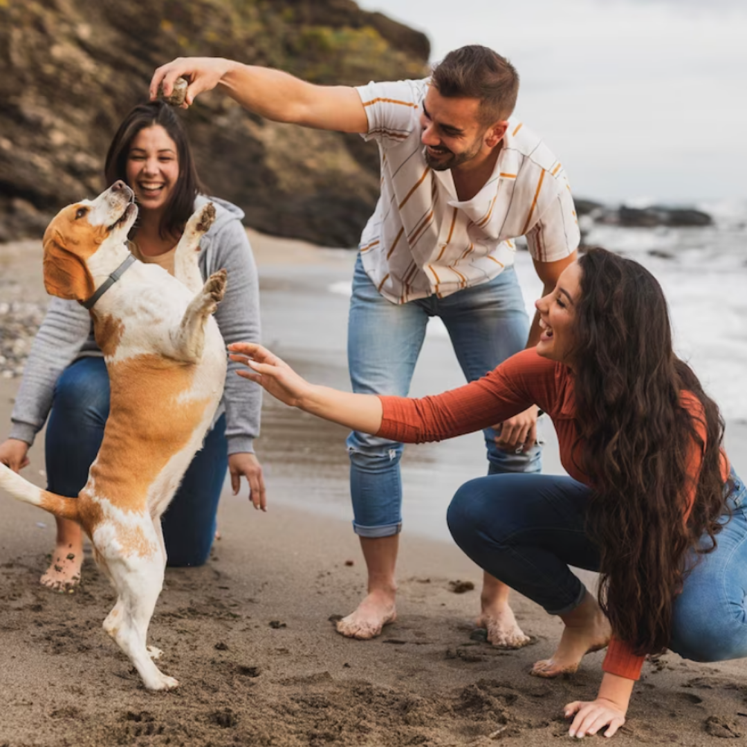 pet-medical-history-spreadsheet-template-free